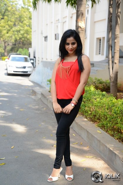 Swathi-Deekshith-at-Ladies-and-Gentlemen-Movie-Success-Meet